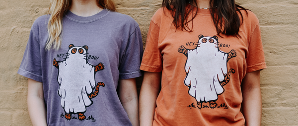 Shop New Arrivals for Wholesale Fall T-Shirts by Sweet Baton Rouge.